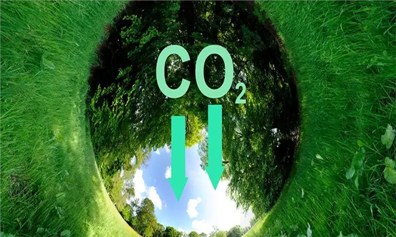 Recent Canadian developments in decarbonizing pulp and paper mills