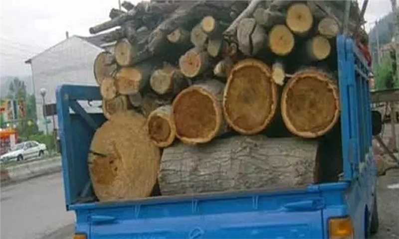 خودروی چوب قاچاق به مقصد نرسید