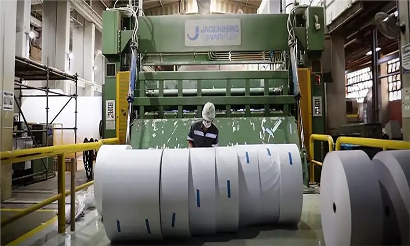 Suzano Starts Producing Greenpack Paper in Limeira and Boosts Sustainability in Packaging